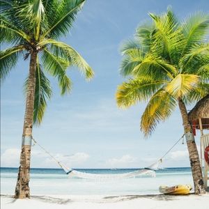 Meet your Posher, Rylee